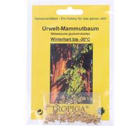 TROPICA Primeval world sequoia - 1 Pkg