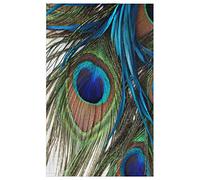 Tropical Animal Bird Peacock Feather Kitchen Towels Soft Hand Towel Reusable Tea Towel Absorbent Dish Cloth Towel, 45 x 72 cm, Set of 4
