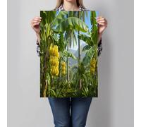 Tropical Banana Grove Landscape Wall Art Print, Natural Realistic Modern Artwork, Forest Green Unframed Canvas Poster Print, Art Pictures For Home Walls, Bedroom, Living Room Decor 30X40Cm (12X16In)