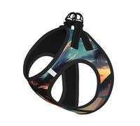 Tropical Beach Palm Tree Sunset Print Pet Leash Vest,Breathable Mesh Pet Harness, Reflective For Small Medium Dogs Safe Easy Walking