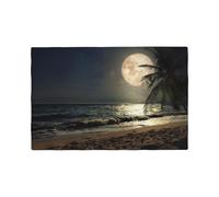 Tropical Beach Palm Tree with Full Moon Starry Night Printed Heat Insulated Placemats Set of One Size Kitchen Dining Washable Linen Table Place Mats