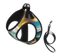 Tropical Beach Palms Print Pet Leash Vest,Breathable Mesh Pet Harness, Reflective For Small Medium Dogs Safe Easy Walking