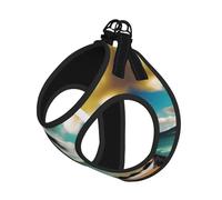 Tropical Beach Palms Print Pet Leash Vest,Breathable Mesh Pet Harness, Reflective For Small Medium Dogs Safe Easy Walking