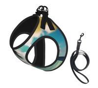 Tropical Beach Palms Print Reflective No Choke Pet Vest Harness,Adjustable Soft Padded Dog Harness With Easy Control Handle