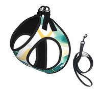 Tropical beach plant theme printing Dog Harness with Leash Set, Step-in Breathable Puppy Cat Dog Vest, No Pull Adjustable Puppy Harness