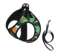 Tropical Birds and Plant Leaf print Dog Harness and Leash Set, Reflective Adjustable Puppy Vest for Small Medium Large Dogs, Cats