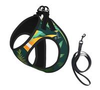 Tropical Birds and Plant Leaf printing Puppy Harness, Dog Harness and Leash Set, Soft Mesh Reflective Breathable Lightweight Vest-Style