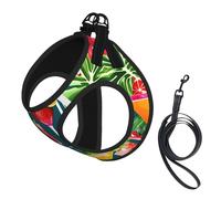Tropical Cocktail Print Dog Harness with Leash Set with Thickened Padded Vest for Extra-Small/Small Medium Dogs