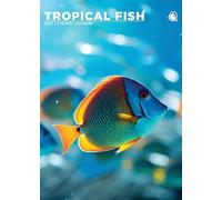 Tropical Fish - A3 Calendar 2027