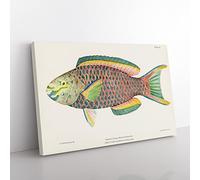 Tropical Fish By Henry Baldwin Vintage Canvas Wall Art Print Ready to Hang, Framed Picture for Living Room Bedroom Home Office Décor, 60x40 cm (24x16 Inch)