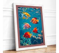 Tropical Fish in Turquoise Coastal Framed Wall Art Print A3 (42×29.7cm) White, Wall Decor for Living Room, Bedroom, Office & Home, Ready to Hang, Art Gift