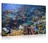 Tropical Fish On Coral Reef Canvas Wall Art Picture Print (18x12)