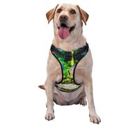 tropical fish Printed quick release dog harness reflective pet vest with 2 quick release buckles 4 sizes L ideal for outdoor walks and hikes