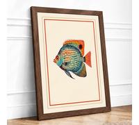 Tropical Fish Study Botanical Framed Wall Art Print A3 (42×29.7cm) Walnut, Wall Decor for Living Room, Bedroom, Office & Home, Ready to Hang, Art Gift