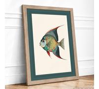 Tropical Fish Study Vintage Framed Wall Art Print A3 (42×29.7cm) Oak, Wall Decor for Living Room, Bedroom, Office & Home, Ready to Hang, Art Gift