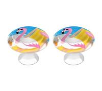 Tropical Flamingo Cartoon Cabinet Knobs 2 Pack Drawer Pulls Stainless Steel Dresser Knobs Rustic Decorative Cabinet Pull Easy Install Wardrobes Handle with Screws Door Handles Furniture Hardware