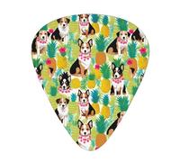 Tropical Flower And Corgi Print 12 Pieces Guitar Picks For Guitars And Ukulele, Unique Guitar Present