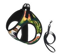 Tropical Flower And Corgi Print Pet Leash Vest,Breathable Mesh Pet Harness, Reflective For Small Medium Dogs Safe Easy Walking