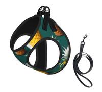 Tropical Fruit Paradise Print Reflective No Choke Pet Vest Harness,Adjustable Soft Padded Dog Harness With Easy Control Handle