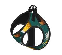 Tropical Fruit Paradise Print Reflective No Choke Pet Vest Harness,Adjustable Soft Padded Dog Harness With Easy Control Handle