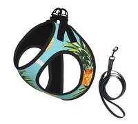 Tropical Fruit Pineapple printing Dog Harness with Leash Set, Step-in Breathable Puppy Cat Dog Vest, No Pull Adjustable Puppy Harness