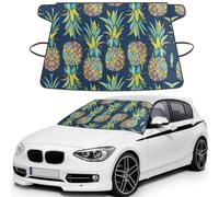Tropical Fruit Pineapple Windproof Car Windshield Snow Cover Anti-Theft Door Flaps UV Resistant Waterproof Wiper Protector for All Vehicles