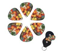 Tropical Fruits and Flowers Guitar Picks 6 Pack 3 Different Thickness Celluloid Guitar Plectrums with Guitar Pick Holder Personalized Guitar Pick for Acoustic Guitar, Electric Guitar, Bass, Ukulele