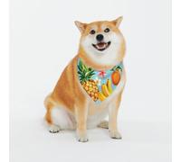 Tropical Fruits And Flowers Print Classic Prints & Washable Scarves For Stylish Dogs And Cats Personalized Dog Bandanas - Stylish Pet Scarf For Medium To Large Dogs