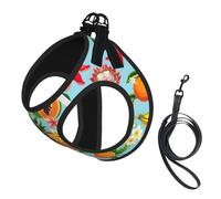 Tropical Fruits and Flowers Print Step in Dog Harness and Leash Set,Mesh Pet Vest Harness for Small Dogs and Cats