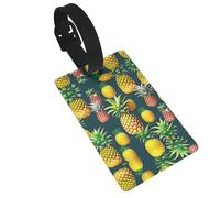 Tropical Fruits Pineapple Printed Small Luggage Tags Portable Bag ID Holders with Adjustable Strap for Travel Gear