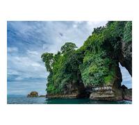 Tropical Island Backdrop Stunning Ocean Cliffs Lush Greenery Caribbean Scenery Photography Background Scenic Exotic Natural Landscape Backdrop for Honeymoon Travel Adventure Background Props 7x5ft