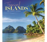 Tropical Islands Square Wall Sunday Star