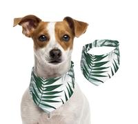 Tropical Jungle, Seamless Pattern With Palm Leaves,Dog Bandanas Cotton Pet Scarf Adjustable Bibs for Pet,L