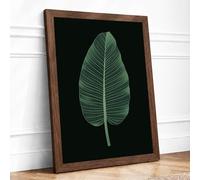 Tropical Leaf Study Botanical Framed Wall Art Print A2 Walnut