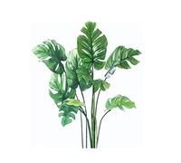 Tropical Monstera Wall Decal, Large Green Leaf Design, 70 x 60 cm, Modern Home Decor