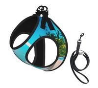 Tropical Ocean Beach Theme Print Dog Harness with Leash Set with Thickened Padded Vest for Extra-Small/Small Medium Dogs