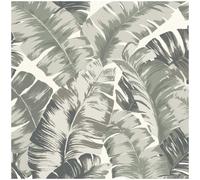 Tropical Palm Leaf Wallpaper Sage Green White Textured Vinyl Paste The Wall