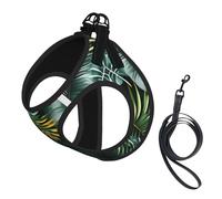 Tropical Palm Leaves Print Soft Mesh Dog Harness and Leash Set Pet Puppy Cat Comfort Padded Vest No Pull Harnesses