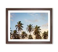 Tropical Palm Trees Modern Framed Print | A4 Walnut Framed Wall Art | Ready to Hang | Modern Floral Picture | Living Room Bedroom Lounge Office
