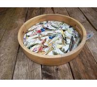 Tropical Paradise Bird Tray made from Mango Wood with a Resin Enamel