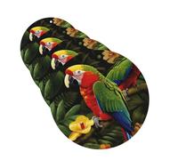 Tropical Parrot Car Air Freshener Cards for Women Men 4 Pack Cute Car Accessories Long Lasting Scent Car Diffuser Hanging Auto Aromatherapy Tablets Car Fresheners Gifts