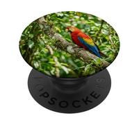 Tropical Parrot Jungle Bird Vibrant Wildlife Scene PopSockets Adhesive PopGrip