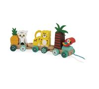 Tropical Pull-Along Train Multicoloured one size