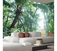 Tropical Rainforest Photo Wallpaper - Natural Banana Leaves Wallpaper Wall Decor Mural Modern Wall Mural Green Non-woven Wallpaper for Living Room Bedroom Children's Room Wall Decor, 350cm x 256cm