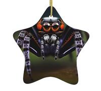 Tropical Rainforest Spiders Christmas Ceramic Star-Shaped Pendants, All with Holes Punched and Gold Wire Ropes for Easy Hanging