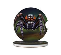Tropical rainforest spiders Prints Ceramic car coasters (2-pack) absorb moisture, are non-slip and easy to clean for cars, trucks, and boats.