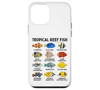 Tropical Reef Fish Types Chart, Marine Fish Species Case for iPhone 12 mini