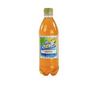 Tropical Slush | Snow Cone Syrup | Compatible with ALL Slush Puppy Machines | Choose your Flavour