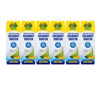 Tropical Sun 100% Delicious Coconut Water Pure Drink NO Bits Natural Nectar Juice Potassium Source 1L Pack of 6 with Welari Thank You Card | (6pack) (6x1L)