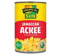 Tropical Sun Ackee 540g
